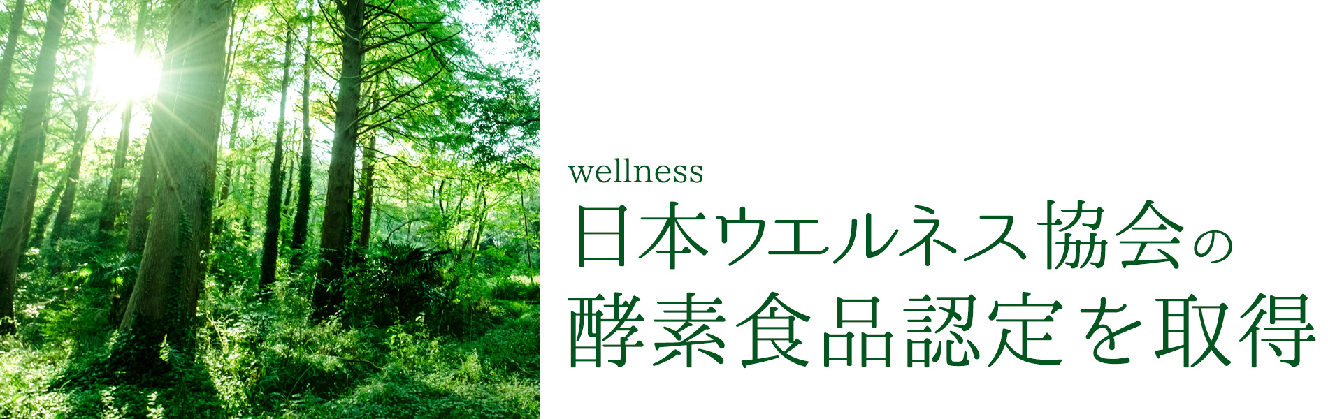 日本ウエルネス酵素食品認定