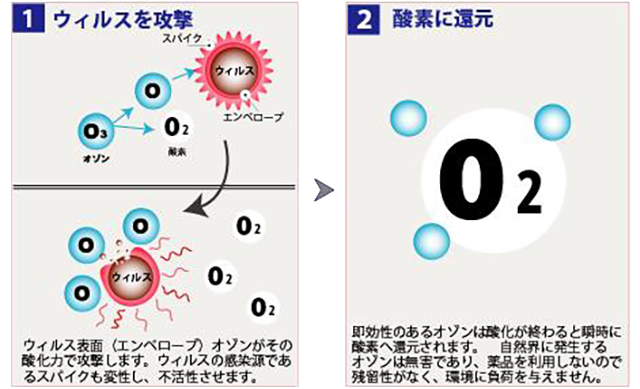 ウィルスを攻撃