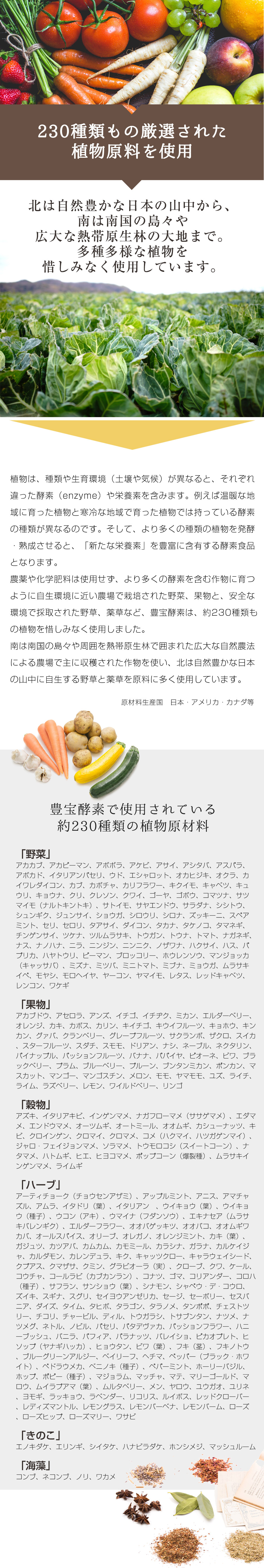 豊宝酵素ー原料