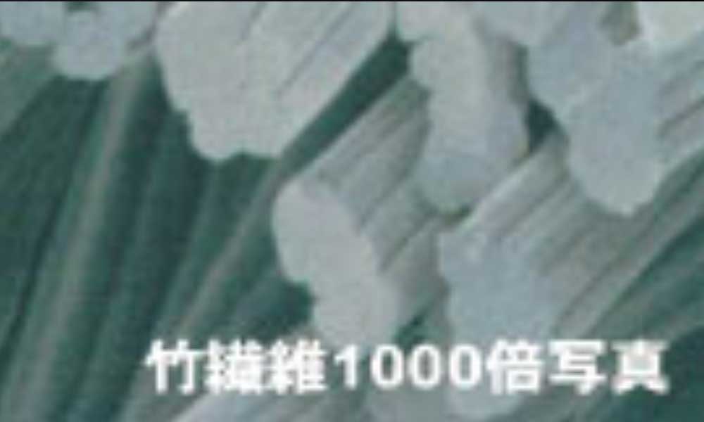 竹繊維１０００倍の断面写真